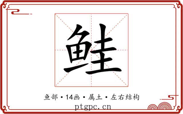 鲑