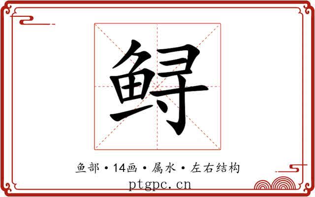 鲟