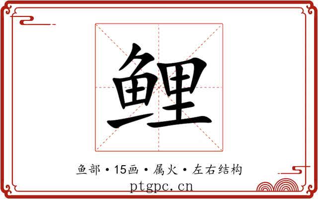鲤