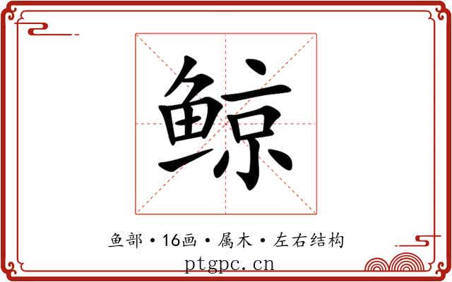 鲸 鲸