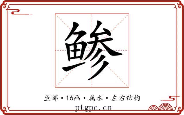 鲹