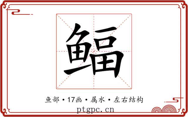 鲾