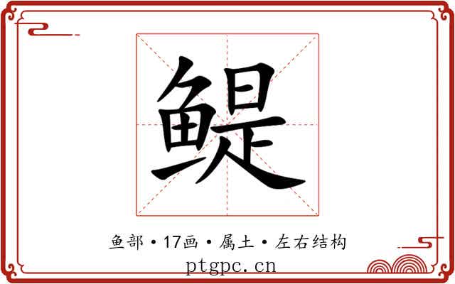 鳀