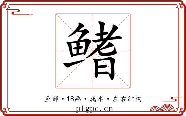 鳍