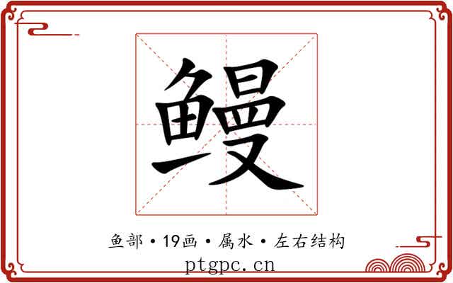 鳗 鳗