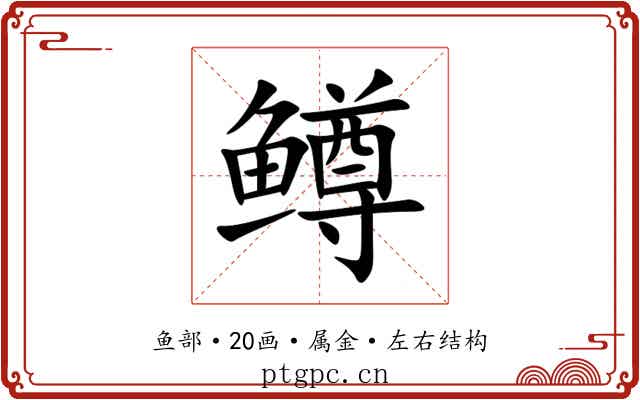 鳟