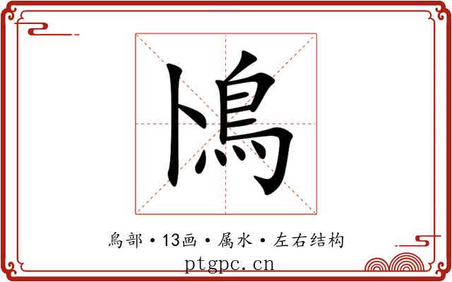鳪