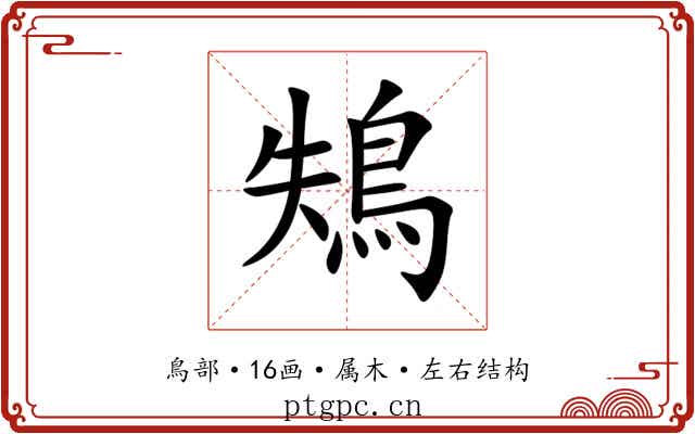 鴩