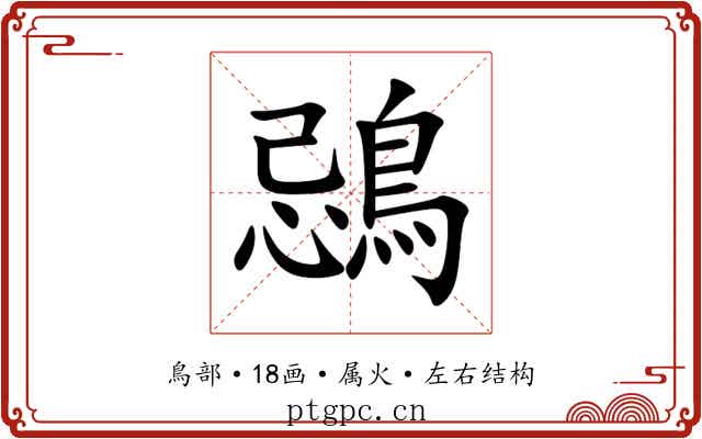 鵋