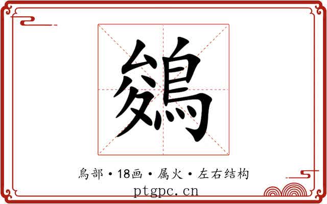 鵕