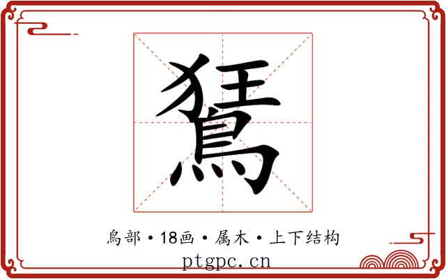 鵟