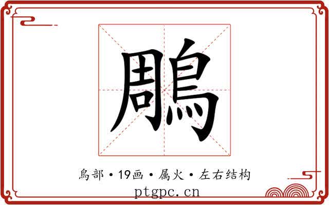 鵰 鵰