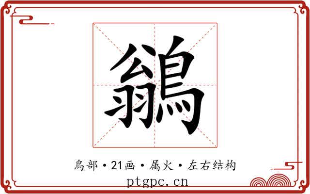 鶲 鶲