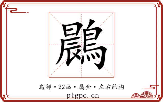 鷐