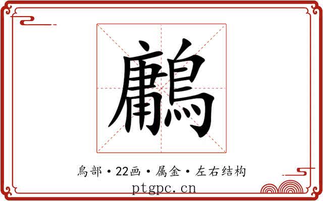 鷛 鷛