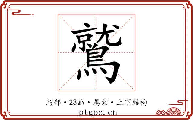 鷲 鷲