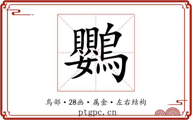 鸚
