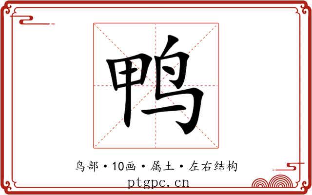 鸭