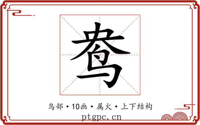鸯