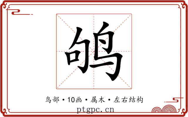 鸲