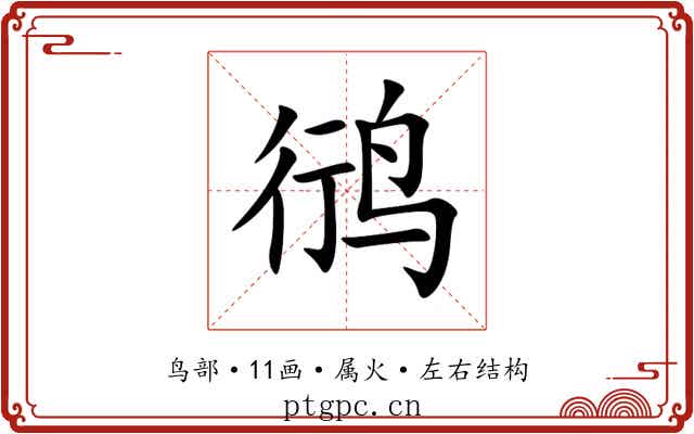 鸻