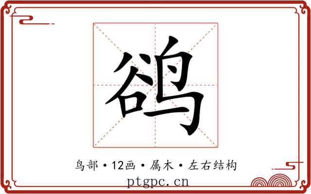 鹆