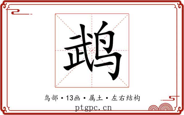 鹉