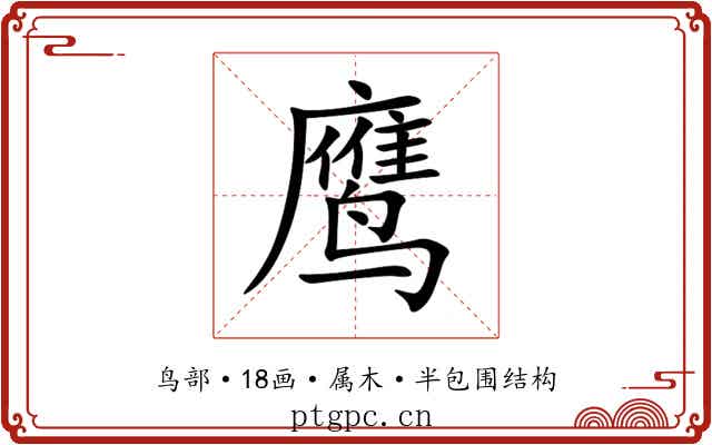 鹰 鹰