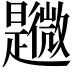 𣌎