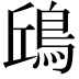 𩿨
