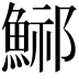 𩷾