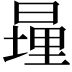 𪰹