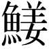 𩹖